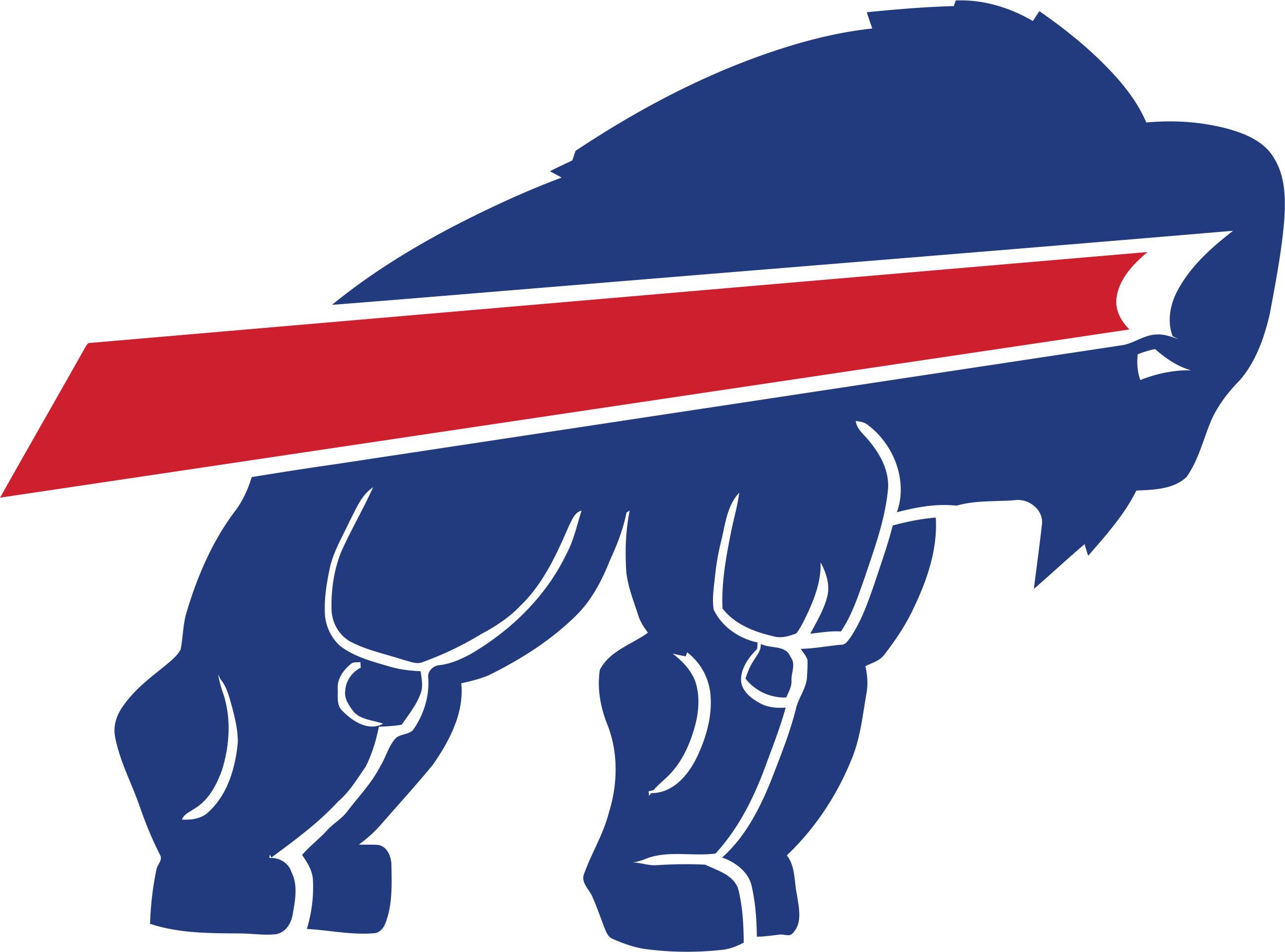 Buffalo Bills Steroids Logo fabric transfer
